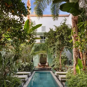 Kitula Marrakesh